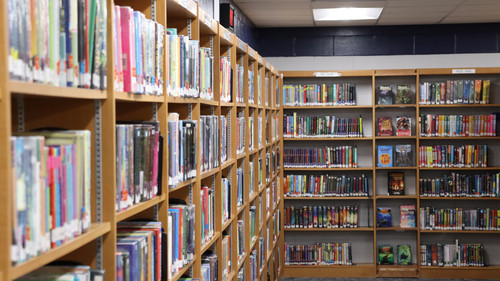 A picture of the bookshelves in the library.